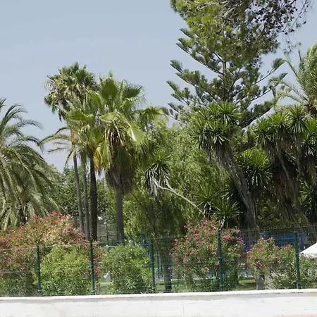 Camping Bungalows-camping La Rana Verde
